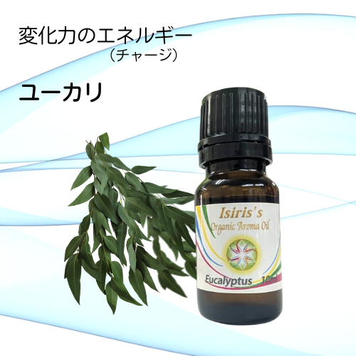 イシリス高周波エネルギーチャージアロマ ユーカリ 変化力 10ml