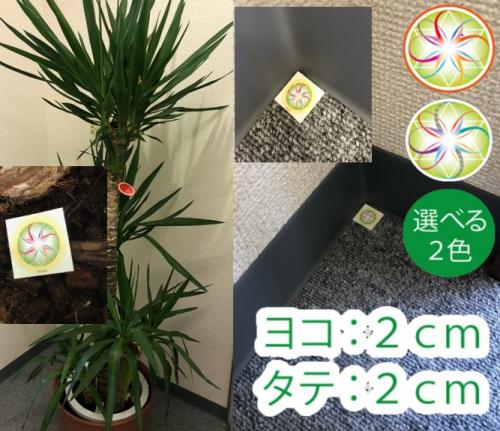 高周波2cm角光沢紙6枚セット