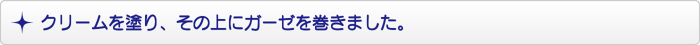 クリームを塗り、その上にガーゼを巻きました。 クリームを塗り、その上にガーゼを巻きました。